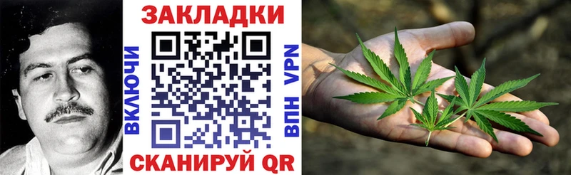 Купить закладку Галлюциногенные грибы  MDMA  ГАШИШ  Канабис  Cocaine  МЕФ  Грязовец