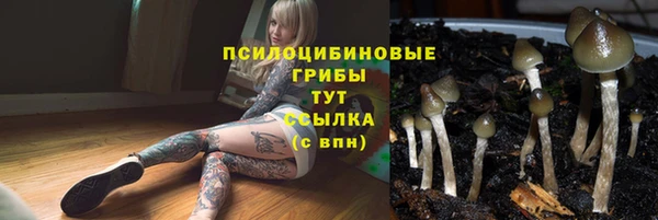a pvp Верея
