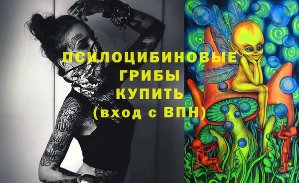 a pvp Верея